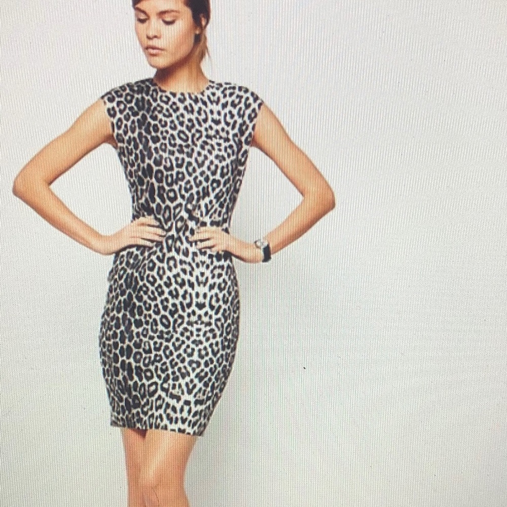 ASOS Womens Bodycon Scuba Mini Dress Cap Sleeve  Leopard Print Size 4